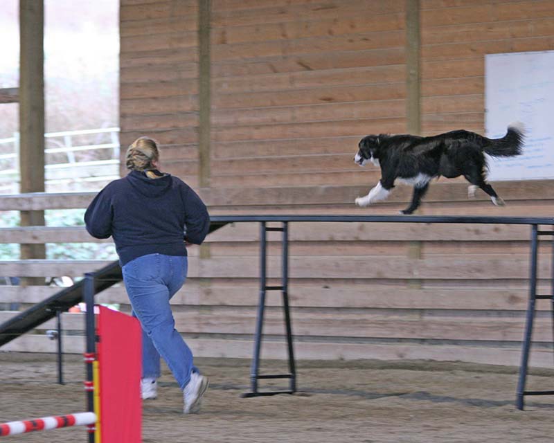 Marshalls second fun match